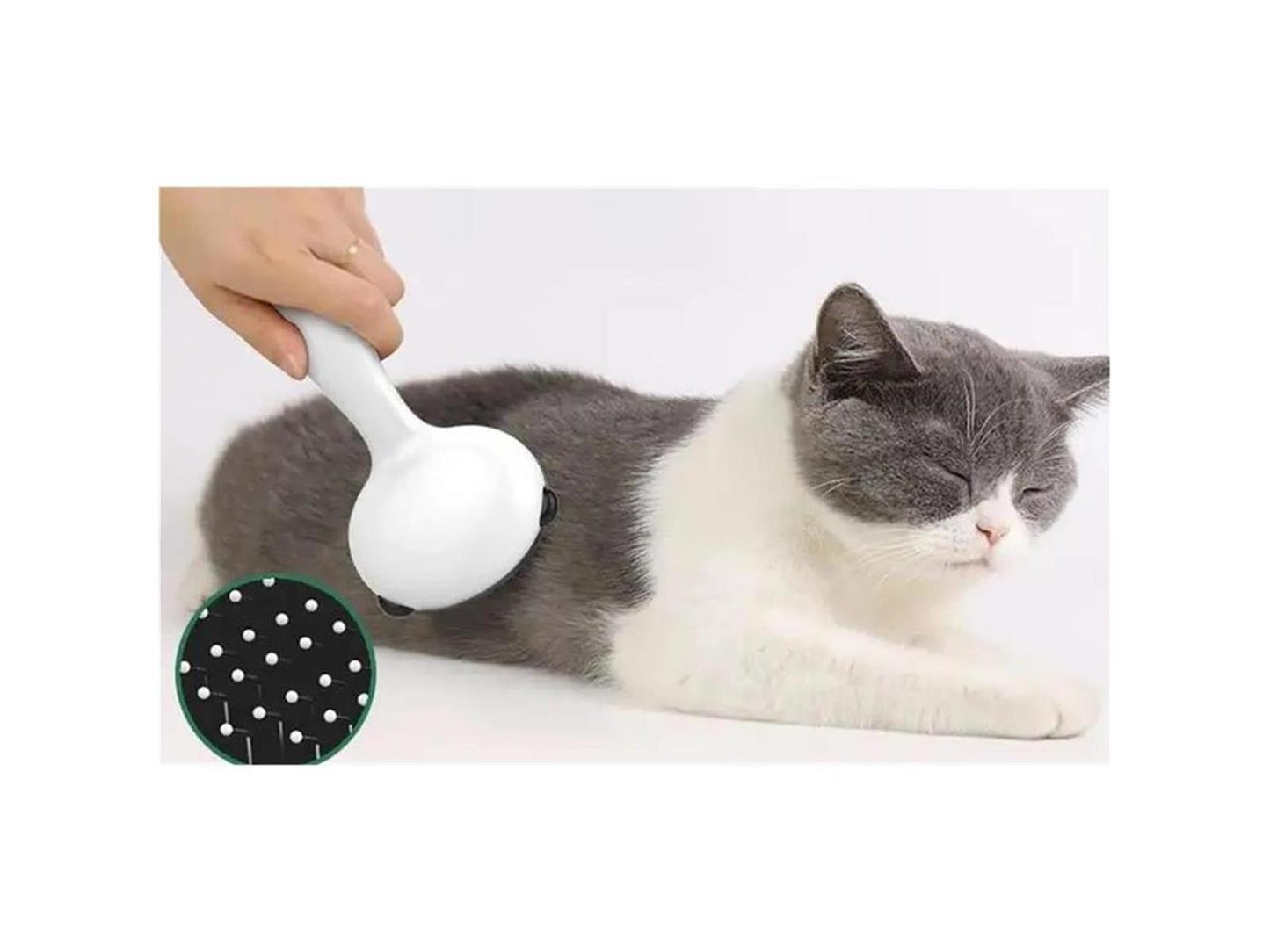 Haustier Kamm Bürste 2er Set Hund Katze Fellpflege Massage & Haar Entferner