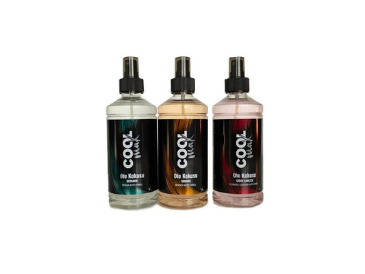 SET 3 er Autoduftspray Woody Blumen Ozean Parfüm Spray Duft 3 x 400 ml
