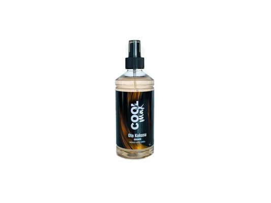 Autoduftspray Autoduft Lufterfrischer Parfüm Holzig Woody Spray Raumduft 400 ml