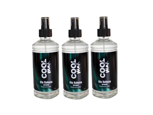 Autoduftspray Autoduft Lufterfrischer Parfüm Ozean Meer Duft Raumduft  3 x 400 ml