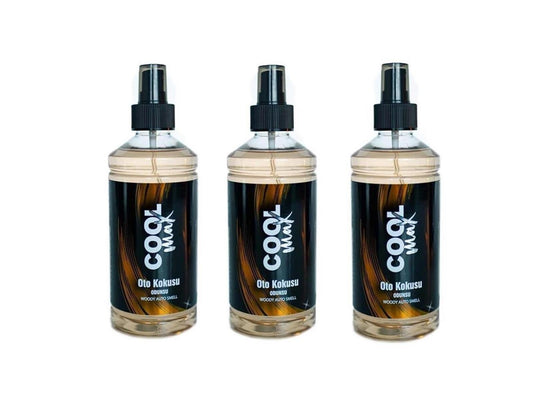 Spray zapachowy do samochodu odświeżacz powietrza perfumy drzewne Woody spray zapach do pomieszczeń 3 x 400 ml